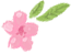 衡陽(yáng)市蒸湘區(qū)仁愛實(shí)驗(yàn)中學(xué)|衡陽(yáng)全日制|全寄宿|全封閉|半月假制初級(jí)中學(xué) 衡陽(yáng)市蒸湘區(qū)仁愛實(shí)驗(yàn)中學(xué)|衡陽(yáng)全日制|全寄宿|全封閉|半月假制初級(jí)中學(xué)